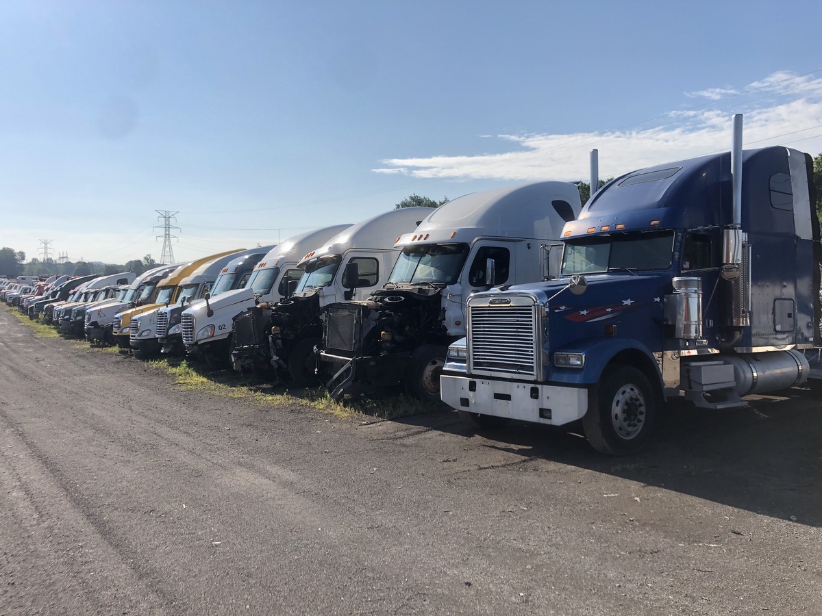 Row of salvage semi-truck cabs for sale 